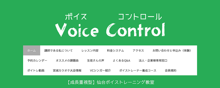 voice control